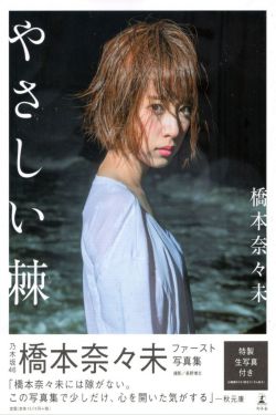 29片棕榈叶